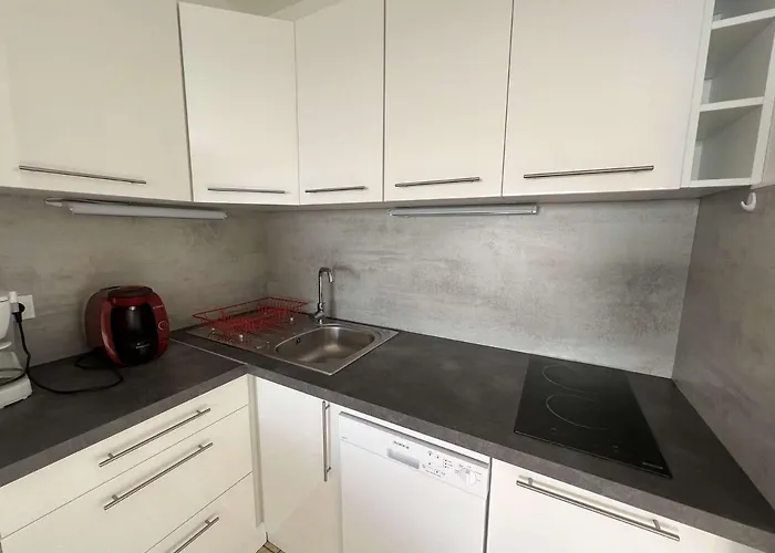 Appartement 3p, Parking, Calme, Lave-linge, Lave-vaisselle, Animaux Admis - Fr-1-702-35