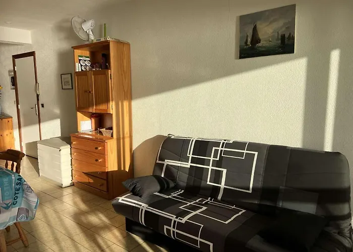 3p, Parking, Calme, Lave-linge, Lave-vaisselle, Animaux Admis - Fr-1-702-35 Appartement Agde
